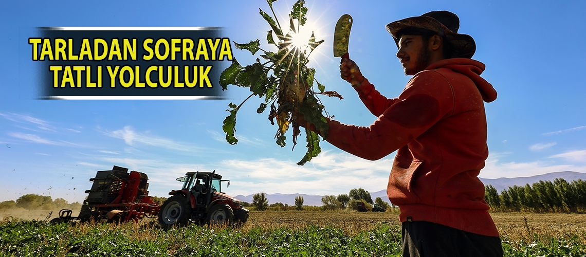Tarladan sofraya tatlı yolculuk