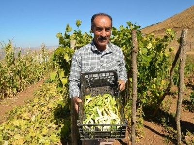Huzur ve güven ortamı ile Şenyayla’da üretim başladı