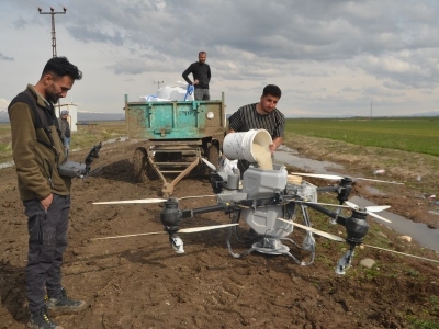 Tarlalar insansız hava araçlarıyla gübreleniyor