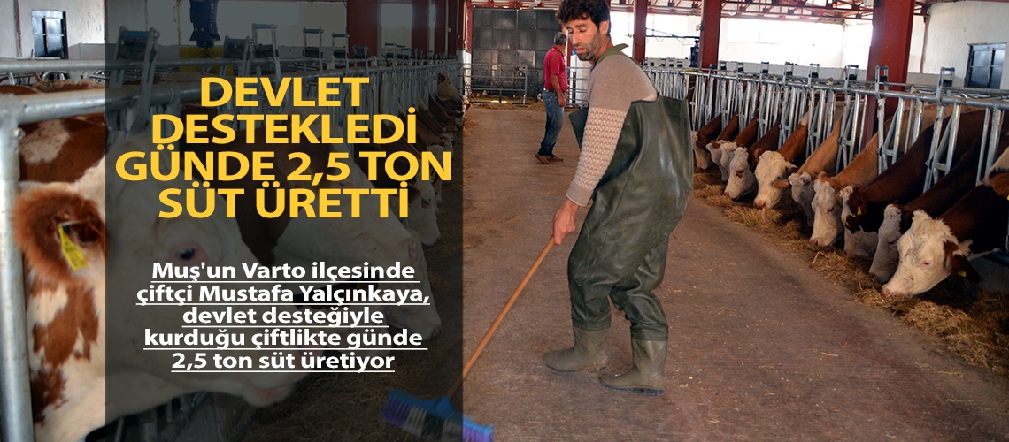 Devlet destekledi günde 2,5 ton süt üretti