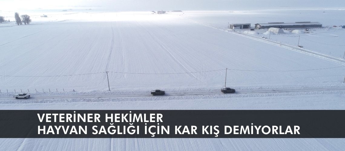 Veteriner hekimler hayvan sağlığı için kar kış demiyorlar