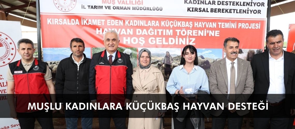 Muşlu kadınlara küçükbaş hayvan desteği