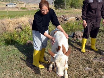 Devlet destekledi günde 2,5 ton süt üretti