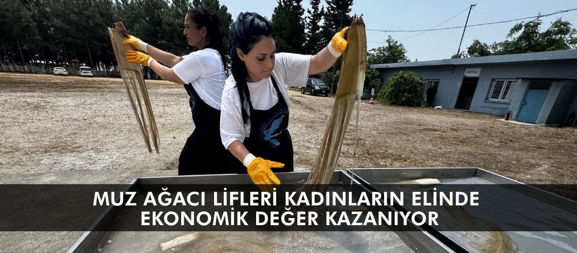Muz ağacı lifleri kadınların elinde ekonomik değer kazanıyor