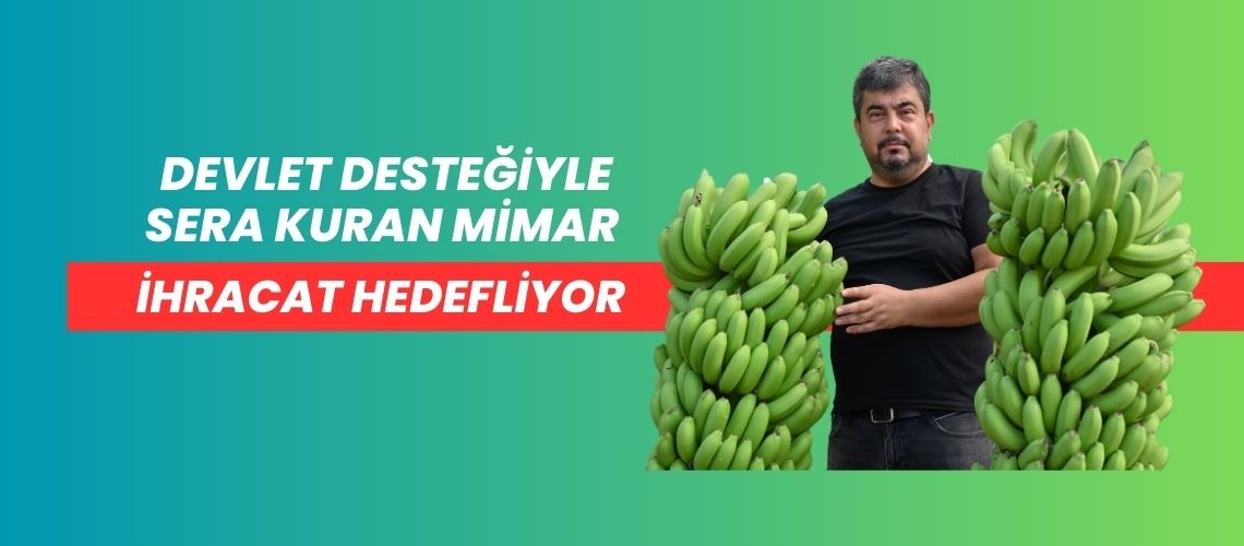 Devlet desteğiyle sera kuran mimar ihracat hedefliyor