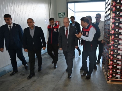 Denizli'de ihracatlık nar hasadı başladı