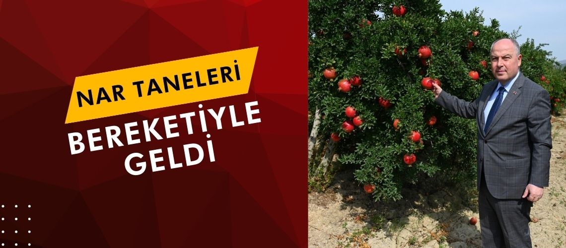Nar taneleri bereketiyle geldi