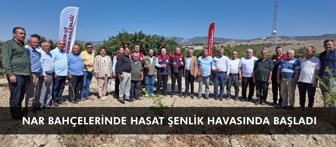 Nar bahçelerinde hasat şenlik havasında başladı