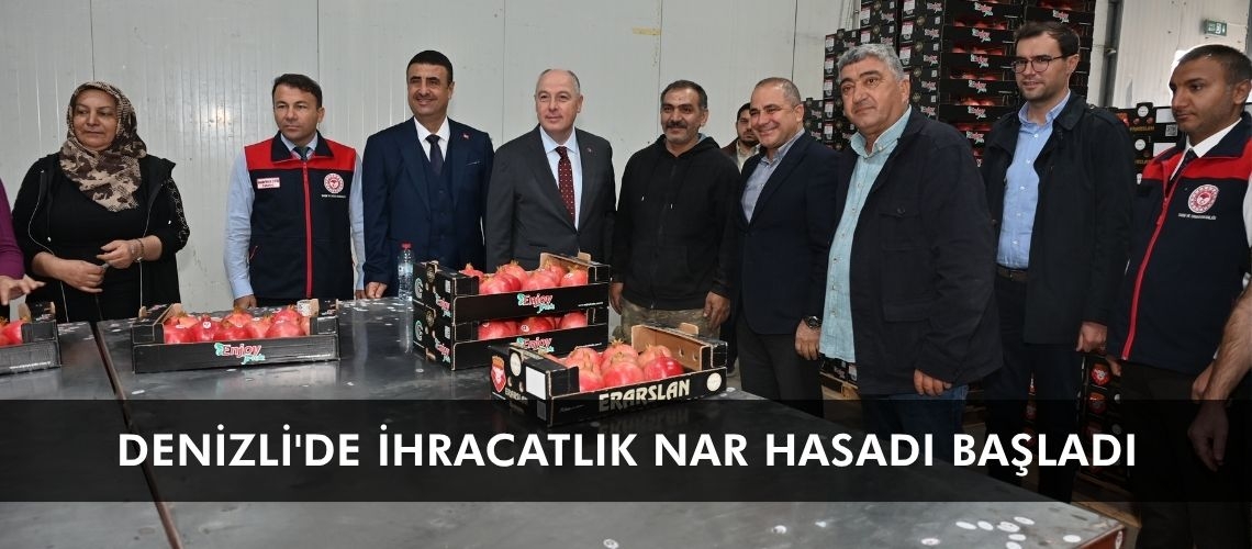 Denizli'de ihracatlık nar hasadı başladı