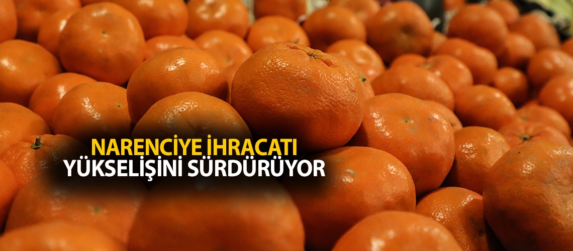 Narenciye ihracatı yükselişini sürdürüyor