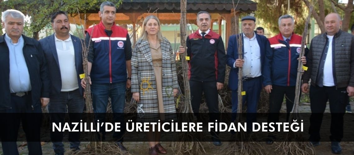 Nazilli’de üreticilere fidan desteği
