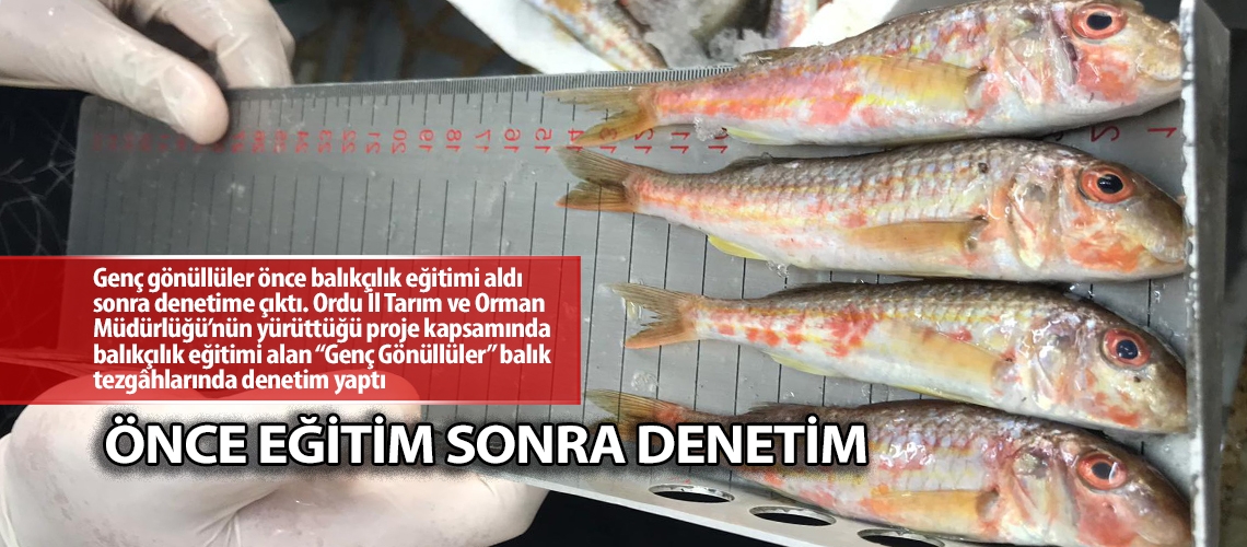 Önce eğitim sonra denetim