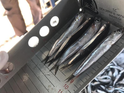 Önce eğitim sonra denetim