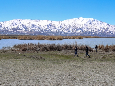 İnci kefaline “özel tim” koruması