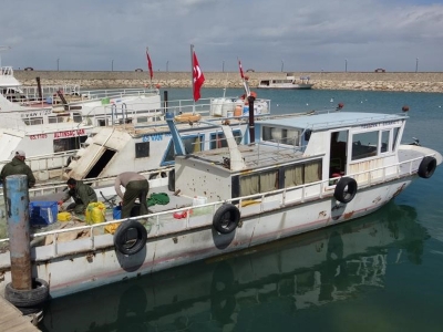 İnci kefali bu sezon da av yasağıyla korunacak