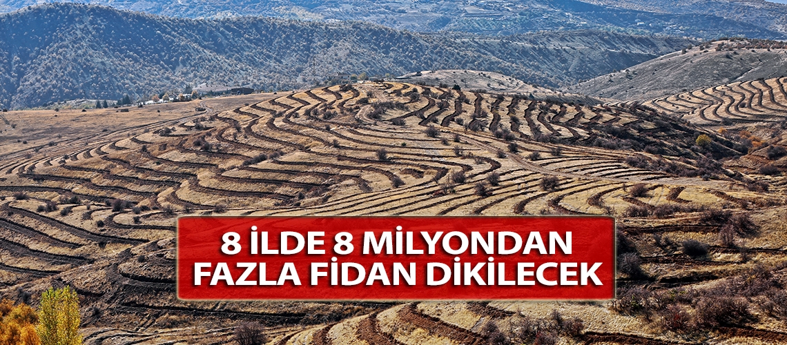 8 İlde 8 milyondan fazla fidan dikilecek