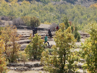 8 İlde 8 milyondan fazla fidan dikilecek