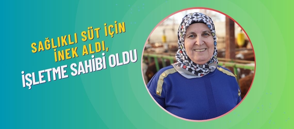 Sağlıklı süt için inek aldı, işletme sahibi oldu