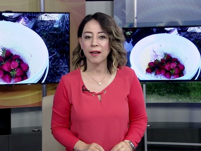 Tarım Gündem 10.05.2018