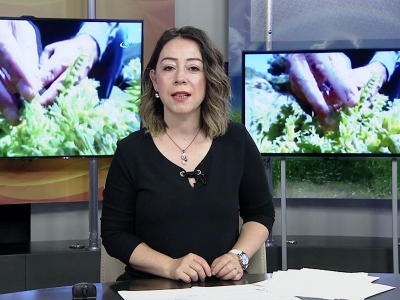 Tarım Gündem 29.05.2018