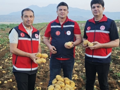 Modern sulama ile verimlilik artıyor