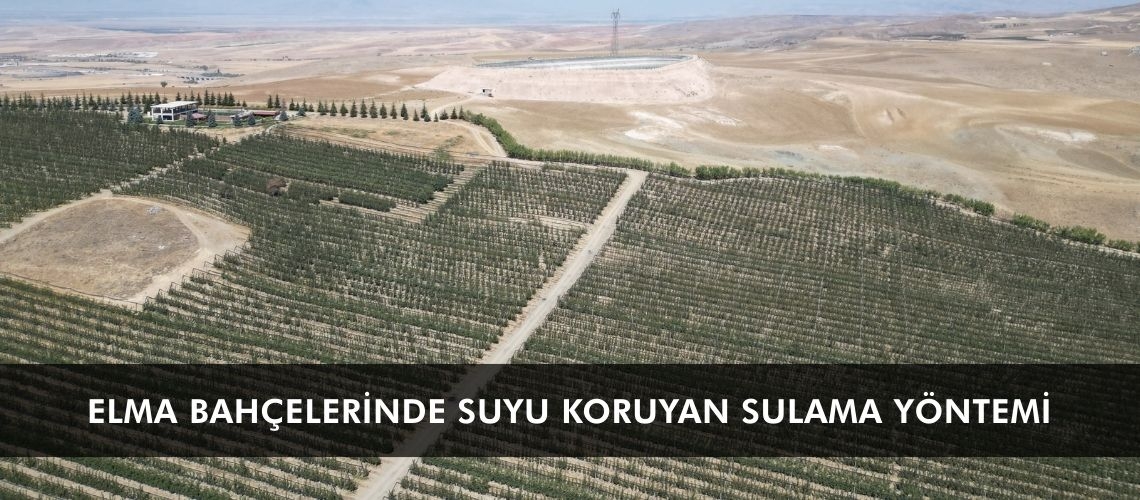 Elma bahçelerinde suyu koruyan sulama yöntemi