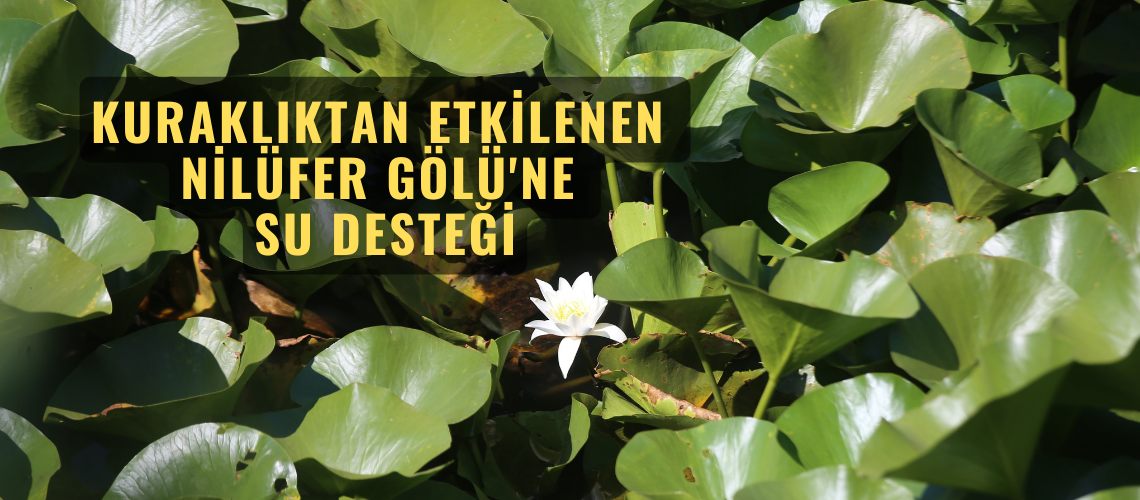 Kuraklıktan etkilenen Nilüfer Gölü'ne su desteği