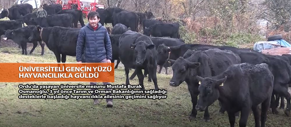 Üniversiteli gencin yüzü hayvancılıkla güldü