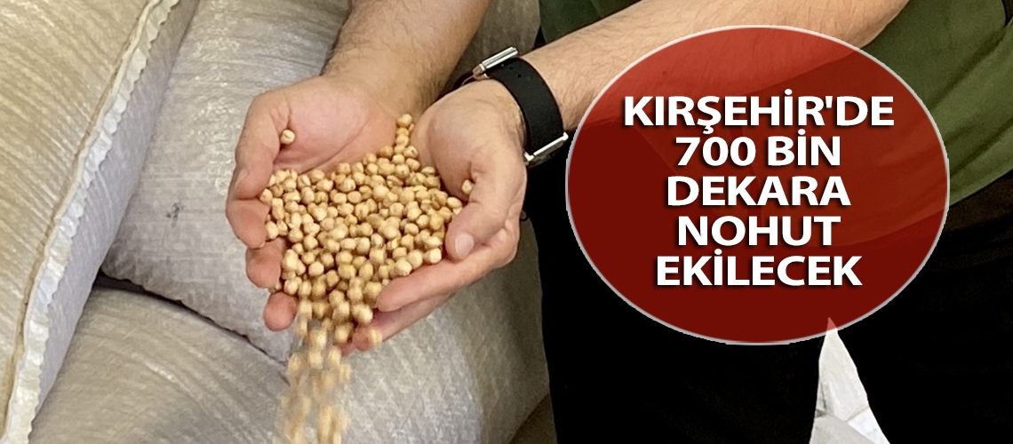 Kırşehir'de 700 bin dekara nohut ekilecek
