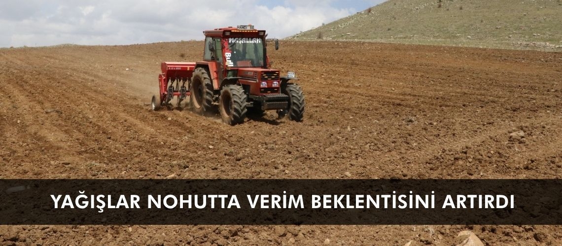 Yağışlar nohutta verim beklentisini artırdı