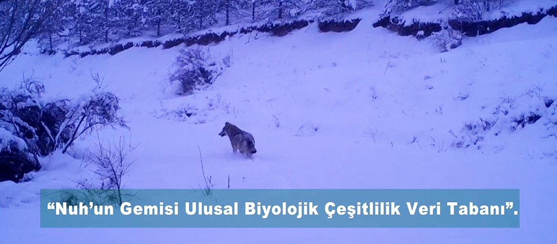 Nuh’un Gemisi Biyolojik Çeşitlilik Projesi