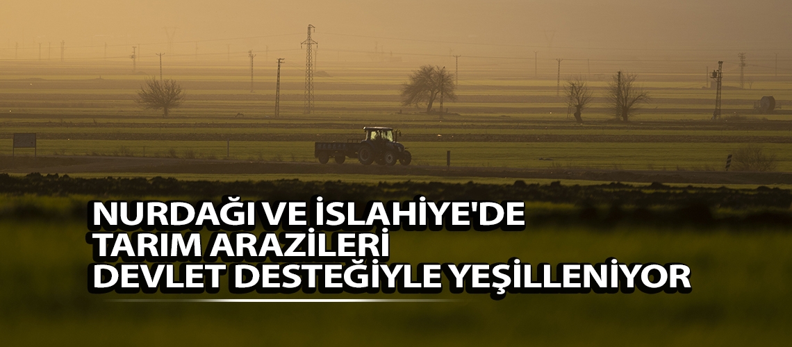 Nurdağı ve İslahiye'de tarım arazileri devlet desteğiyle yeşilleniyor