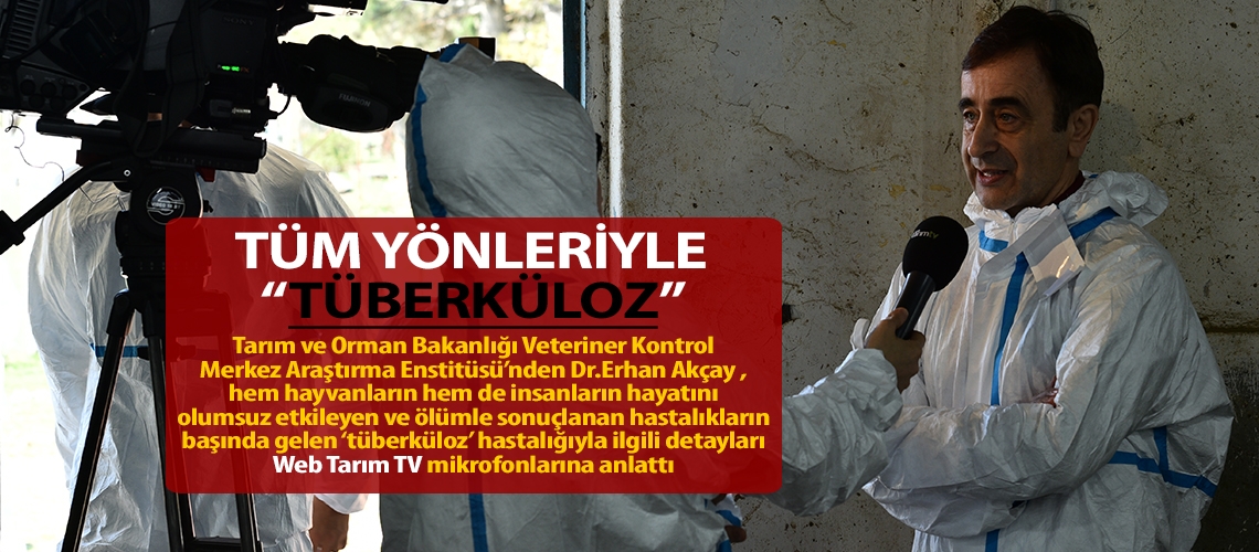 Tüm yönleriyle Tüberküloz