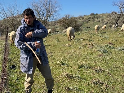 Çobanlık yaptı kazandı, mera sahibi oldu