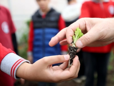 Minik eller okullarındaki çiftliği yeşertiyor