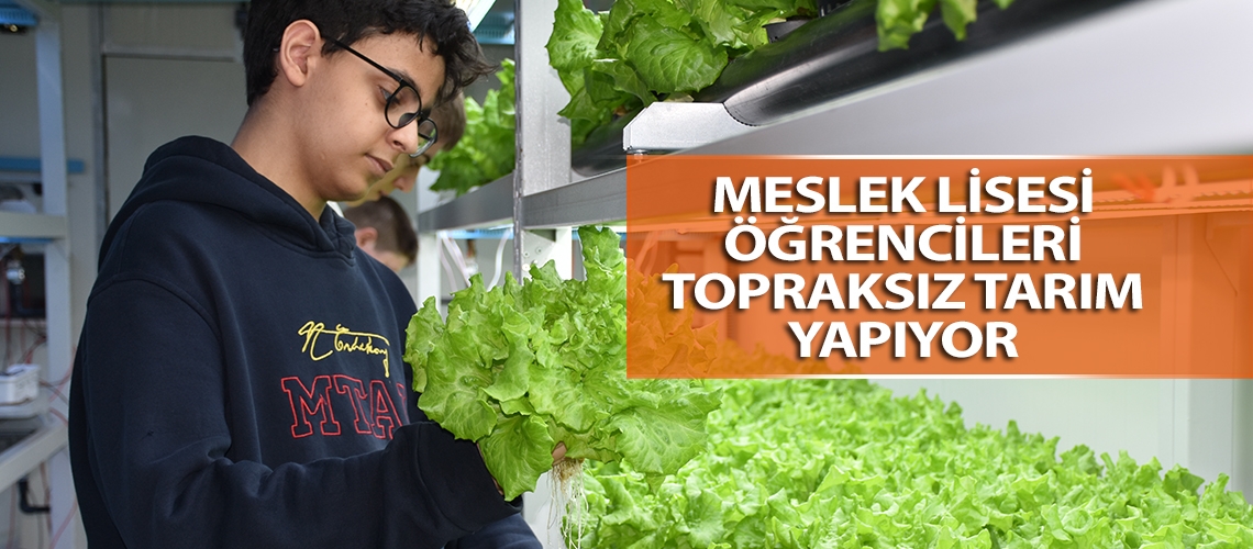Meslek lisesi öğrencileri topraksız tarım yapıyor