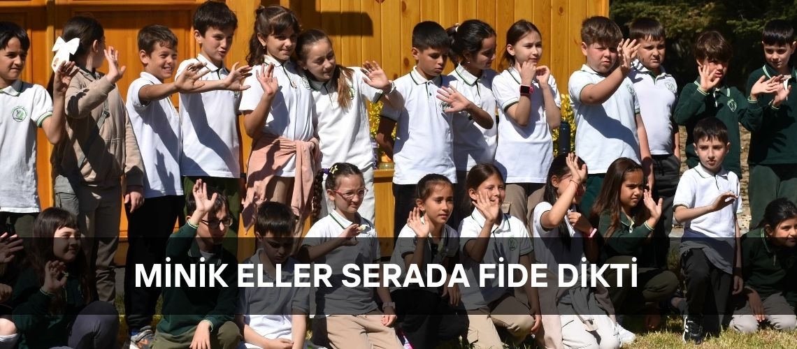 Minik eller serada fide dikti