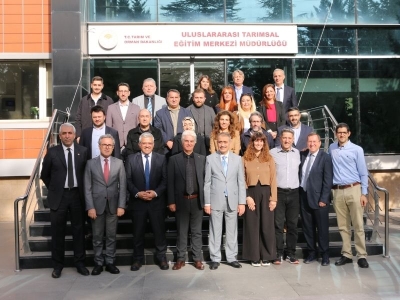 Zeytin budamada dijital eğitim OliVR