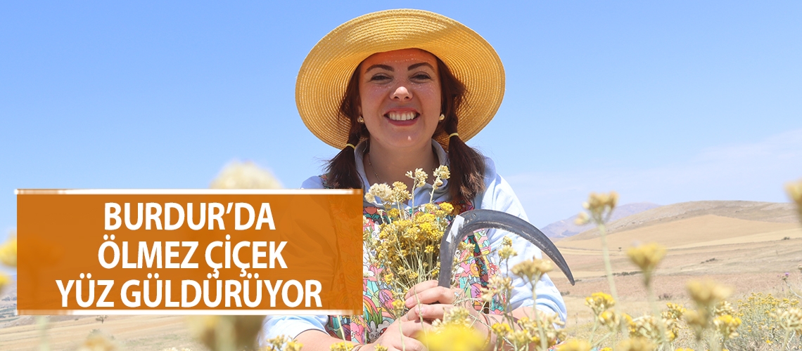 Burdur’da ölmez çiçek yüz güldürüyor