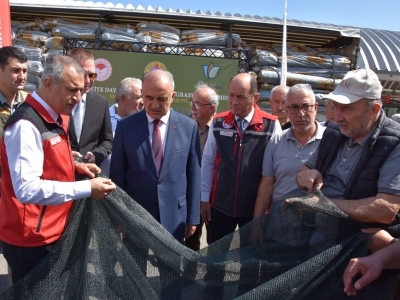 Fındıkta kalite hasat filesi desteğiyle korunuyor