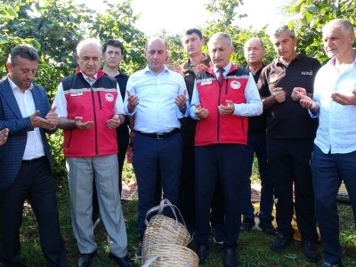 Ordu’da ilk fındık hasadını protokol yaptı