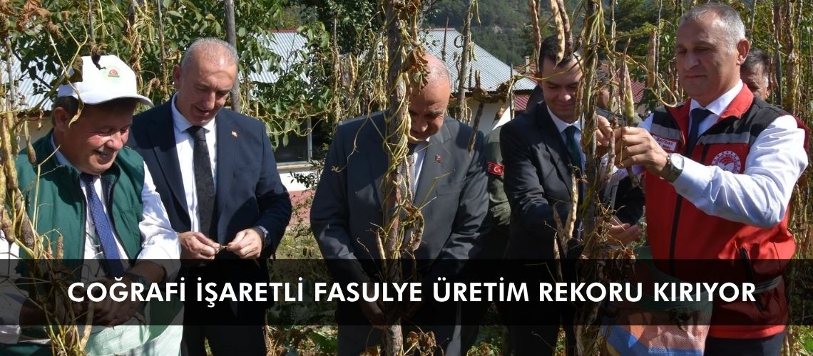 Coğrafi işaretli fasulye üretim rekoru kırıyor