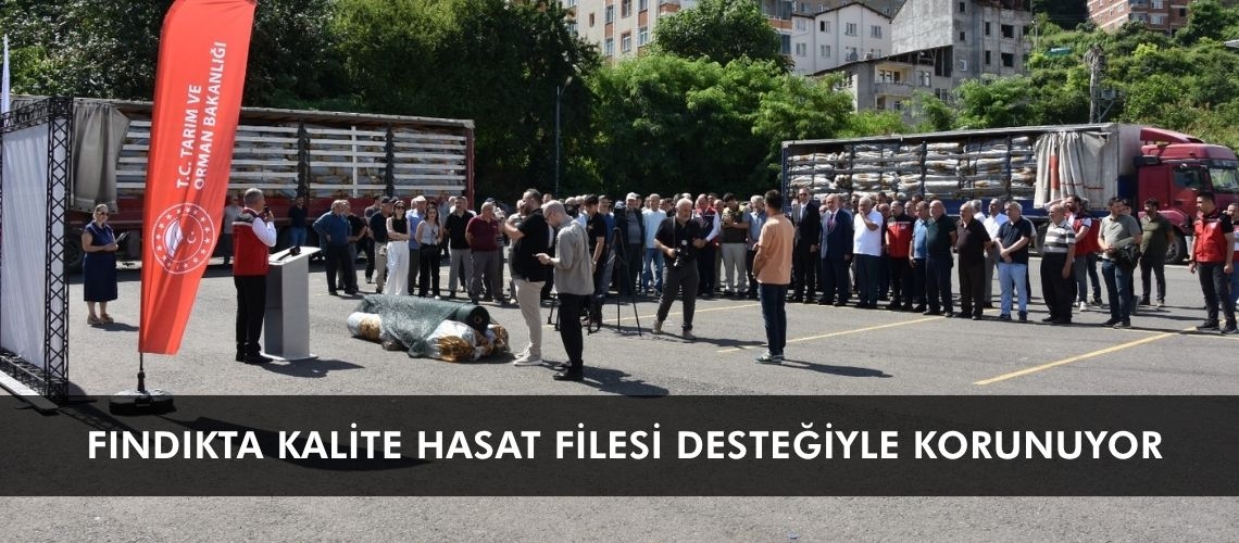Fındıkta kalite hasat filesi desteğiyle korunuyor