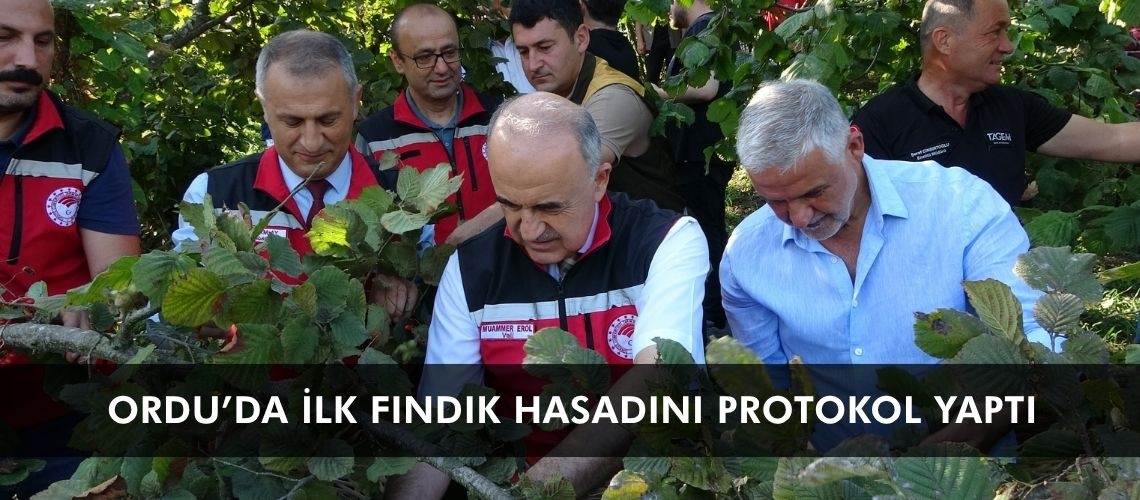 Ordu’da ilk fındık hasadını protokol yaptı