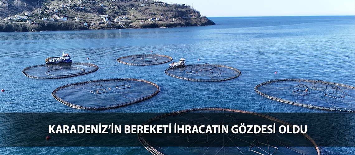 Karadeniz’in bereketi ihracatın gözdesi oldu