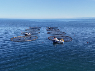Karadeniz’in bereketi ihracatın gözdesi oldu