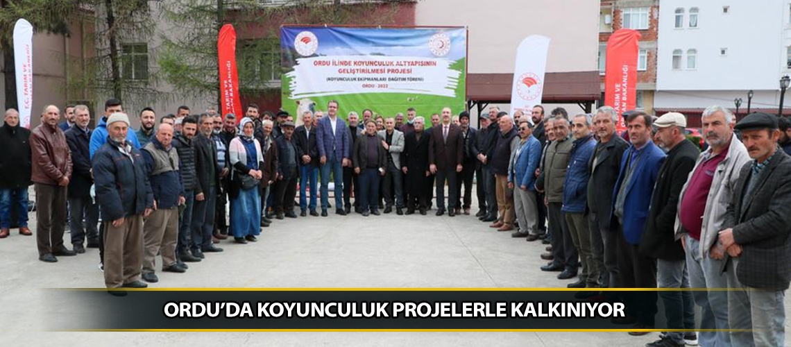 Ordu’da koyunculuk projelerle kalkınıyor