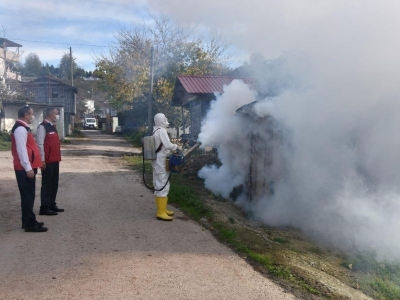 Zararlıyla mücadele kışlak ilaçlamasıyla devam ediyor