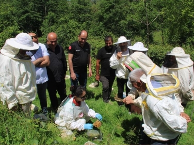 Ordu'da arıcılara uygulamalı eğitim verildi