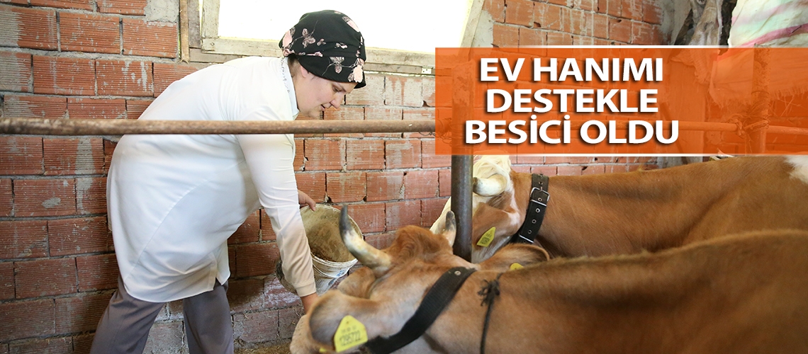 Ev hanımı destekle besici oldu